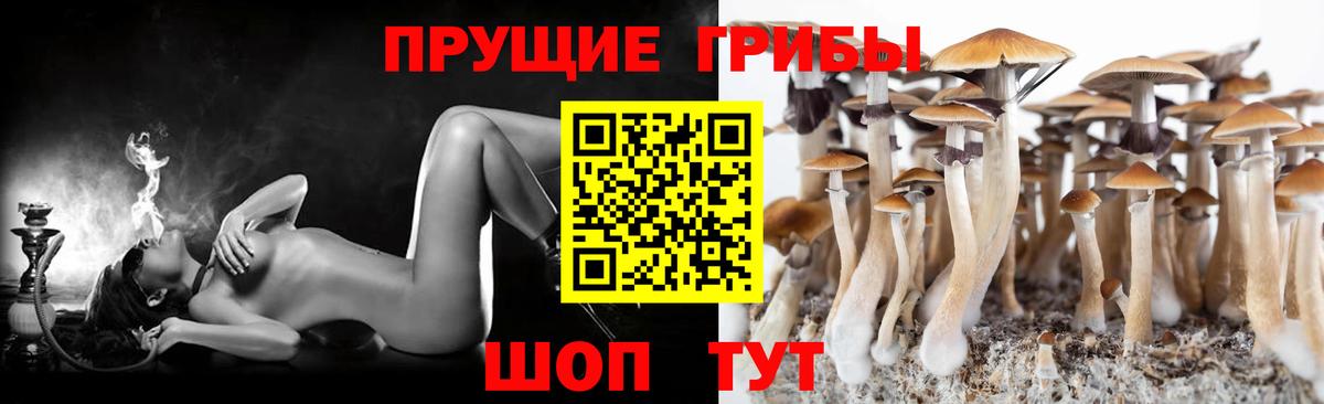 Галлюциногенные грибы прущие грибы Всеволожск
